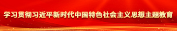 日逼视频啊啊啊好爽好大操我学习贯彻习近平新时代中国特色社会主义思想主题教育